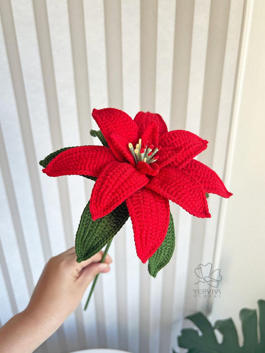 Poinsettia-Stiel als Winterdekor
