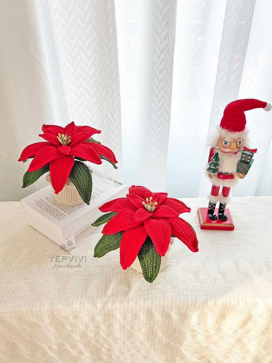 Poinsettia im Topf