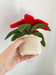 Handmade Crochet Poinsettia in Pot: Holiday flower Home Decor.