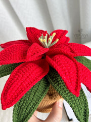 Handmade Crochet Poinsettia in Pot: Holiday flower Home Decor.