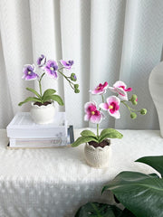 Crochet flower pot. Handmade phalaenopsis orchid Potted Plant. Birthday or Mother’s Day gift for her.