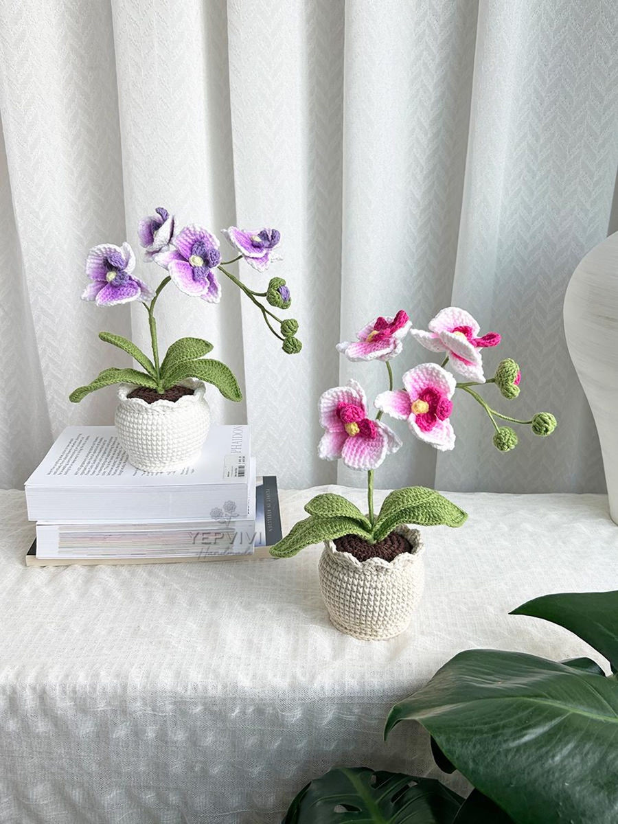 Orchidee im Topf