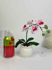Crochet flower pot. Handmade phalaenopsis orchid Potted Plant. Birthday or Mother’s Day gift for her.