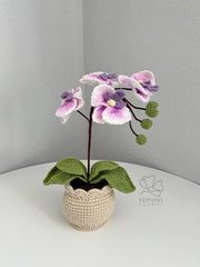 Crochet flower pot. Handmade phalaenopsis orchid Potted Plant. Birthday or Mother’s Day gift for her.